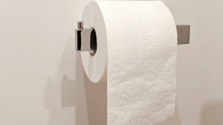 Pourquoi les gens décident de ne plus JAMAIS utiliser le papier toilette  Voici d’autres alternatives pour plus de propreté